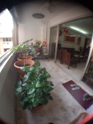 Blk 209 Yishun Street 21 (Yishun), HDB 5 Rooms #163289922